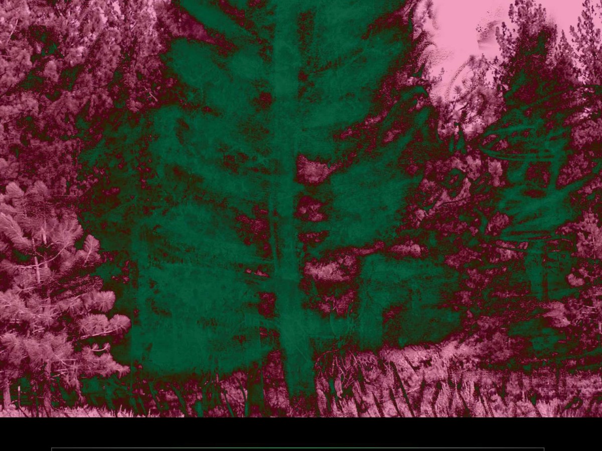 An Excerpt from Jack Kerouac’s ‘The Dharma&nbsp;Bums’